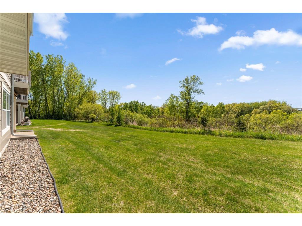 18573 Joplin Avenue Lakeville MN 55044 7072135 image16