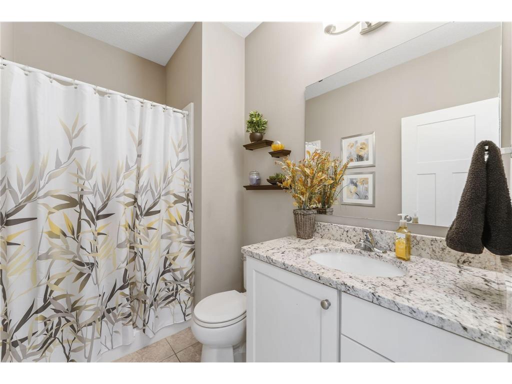 18573 Joplin Avenue Lakeville MN 55044 7072135 image25