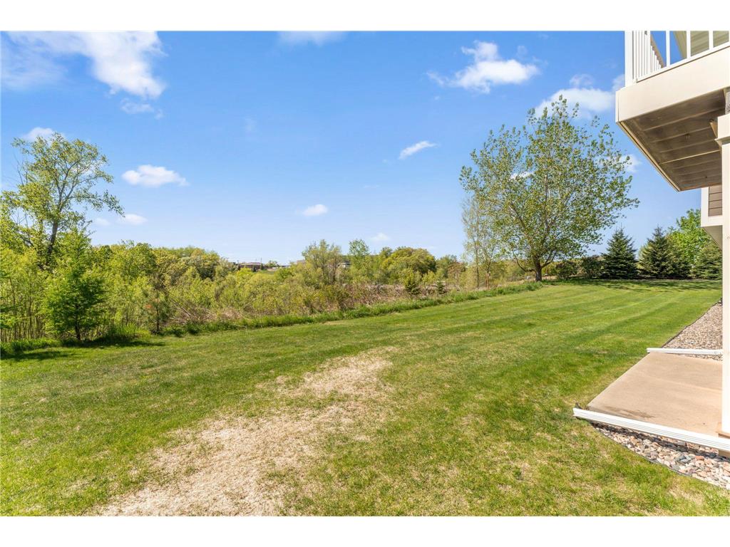 18573 Joplin Avenue Lakeville MN 55044 7072135 image35