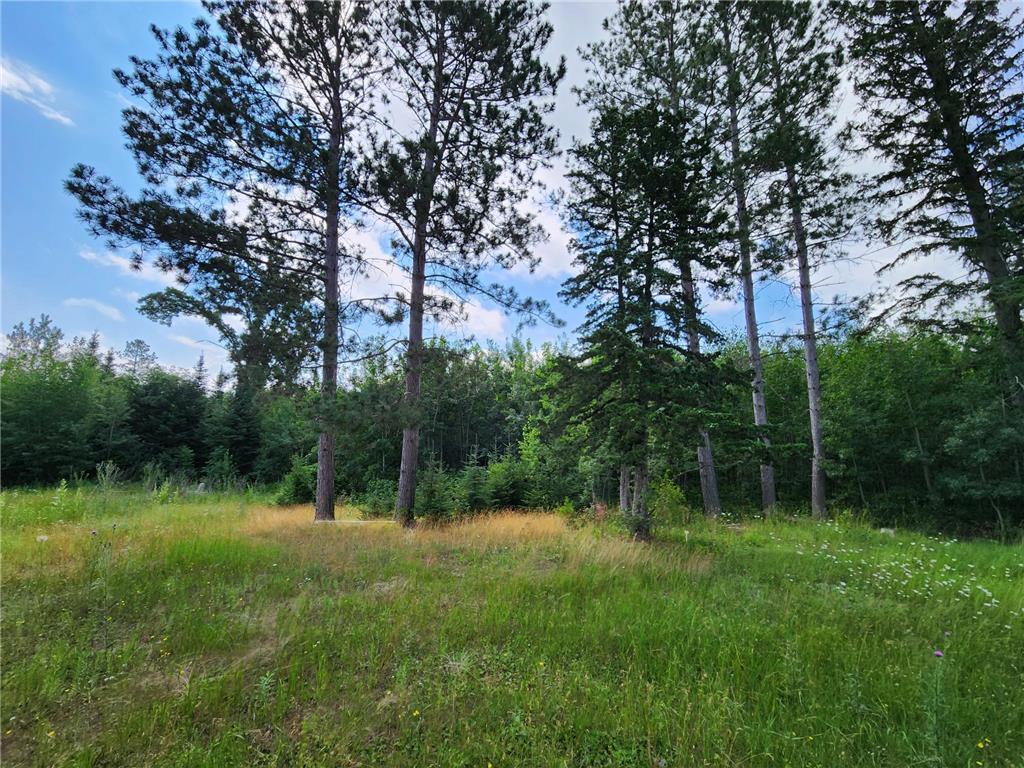 18575 State 34 Henrietta Twp MN 56470 6701791 image6