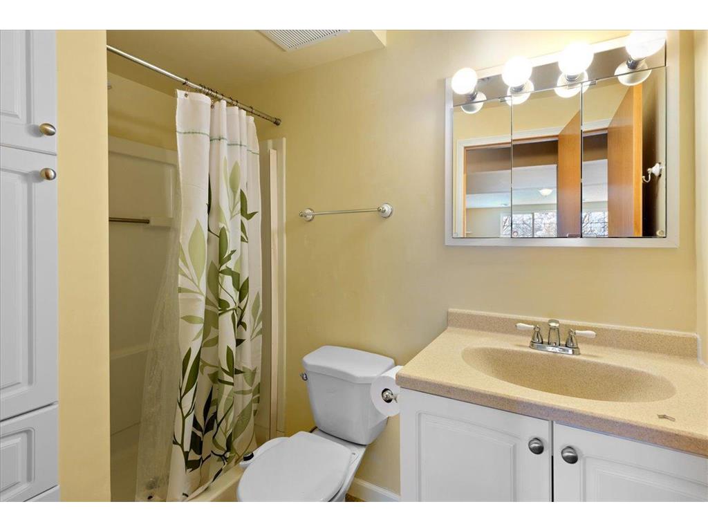 18576 Euclid Path Farmington MN 55024 7084462 image35