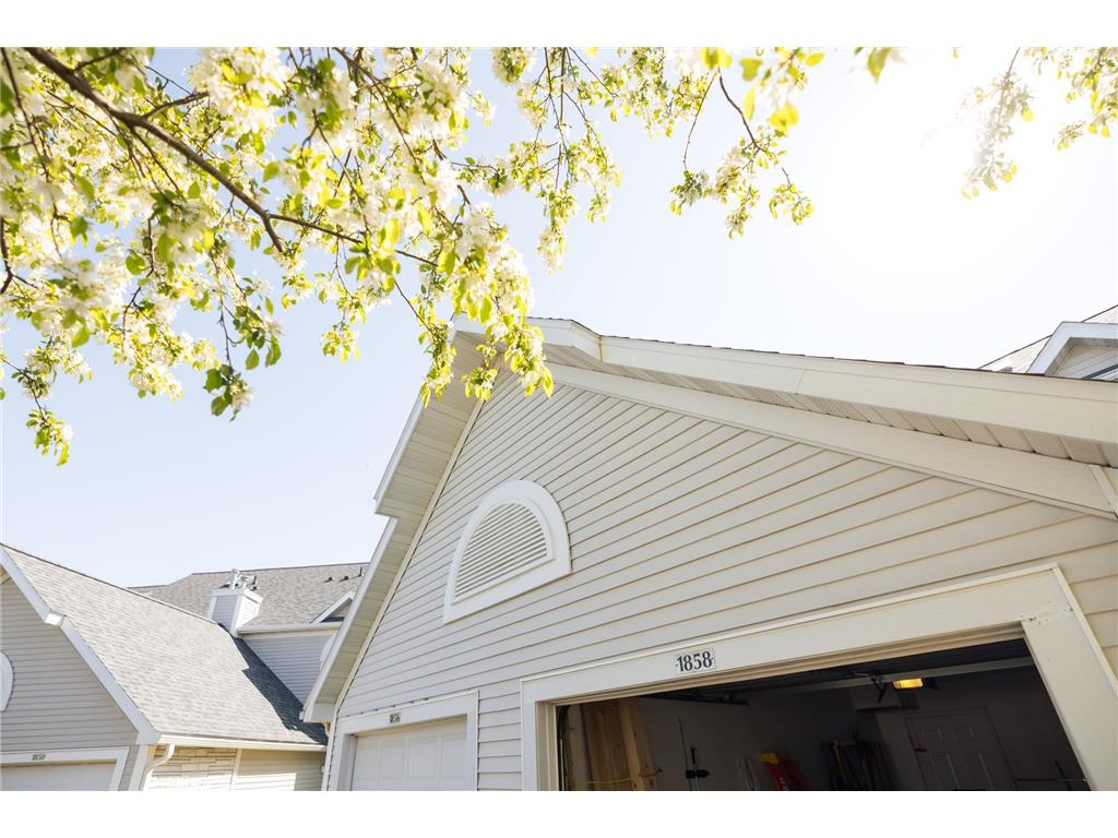 1858 Tiffany Cove Lane SW Rochester MN 55902 7055262 image6