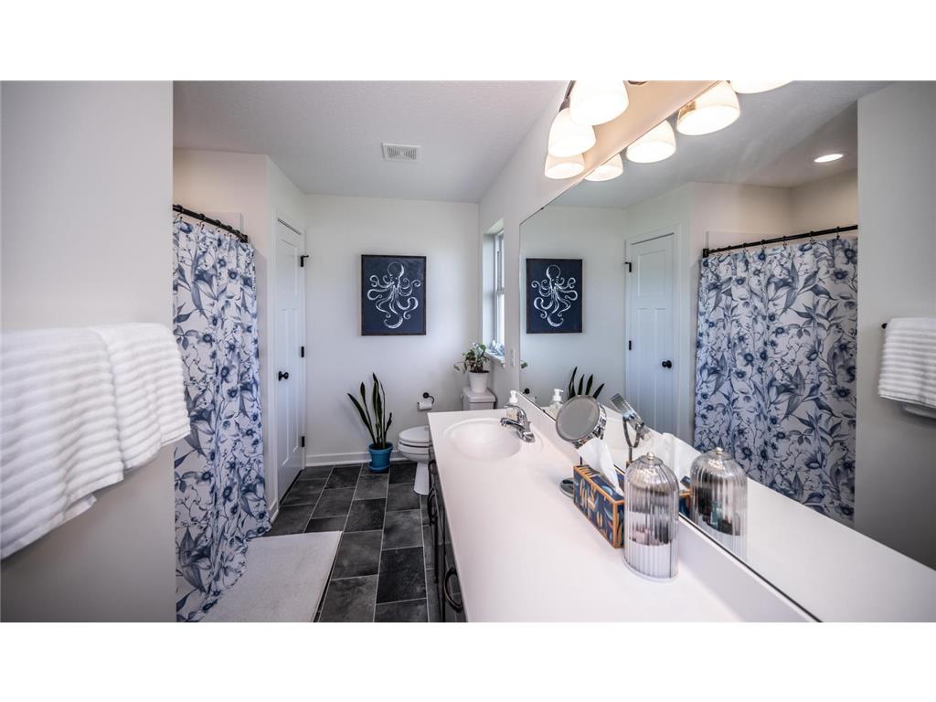 18603 Jonesboro Court Lakeville MN 55044 7082500 image19