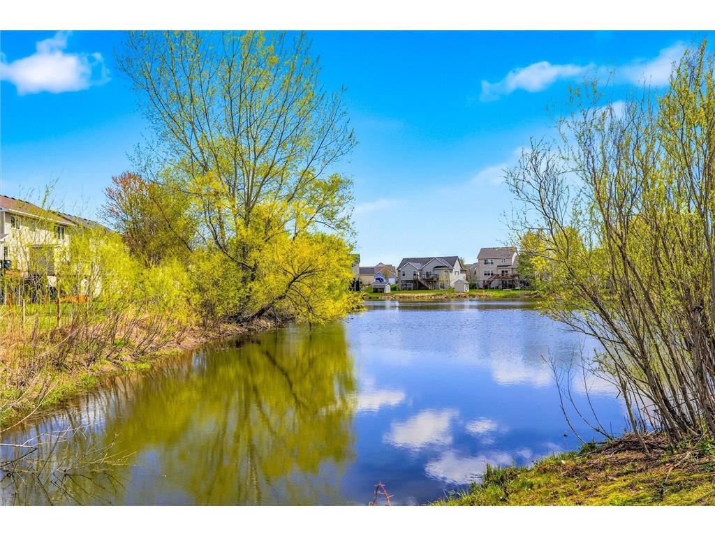 18612 Dunbury Avenue Farmington MN 55024 7066148 image58