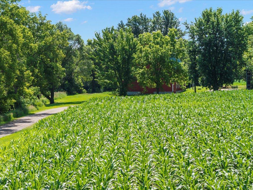 18625 62nd Street New Germany MN 55367 6739914 image10