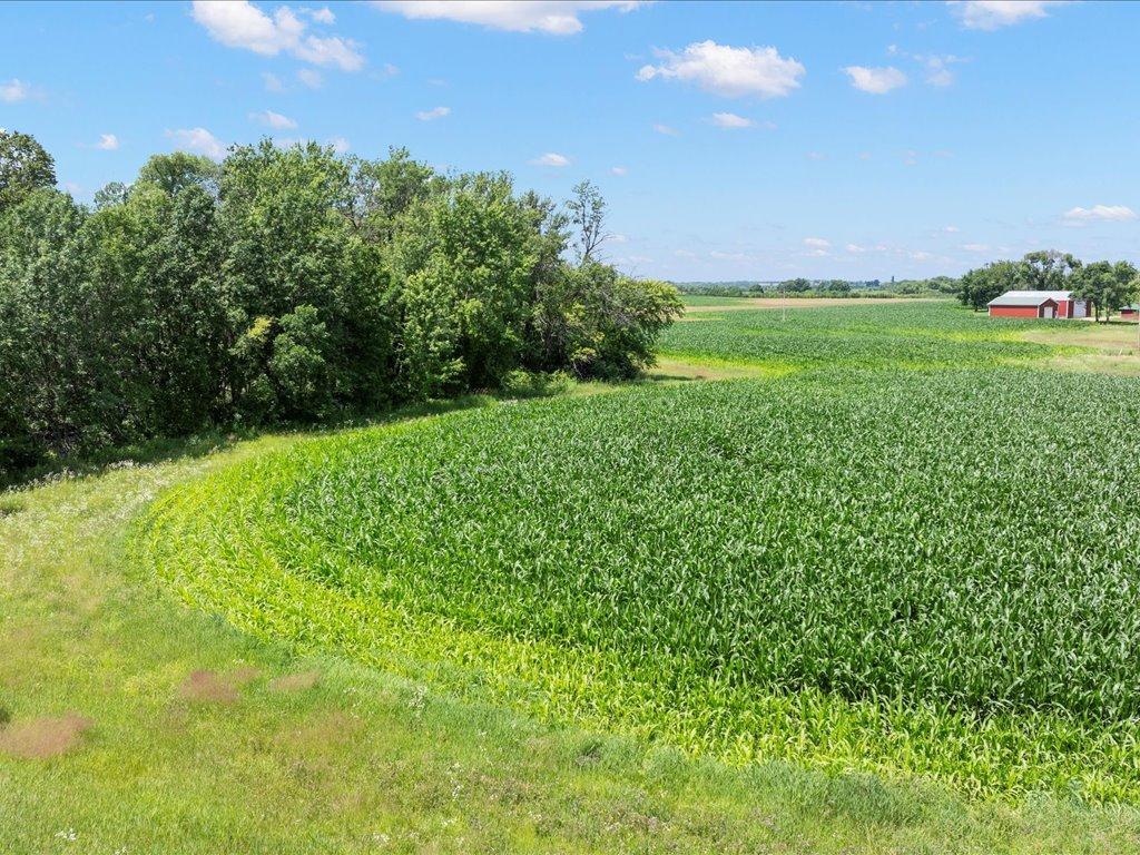 18625 62nd Street New Germany MN 55367 6739914 image56