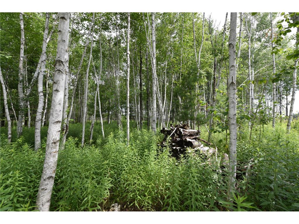 18625 Skunk Lake Road Dell Grove Twp MN 55072 6800356 image33