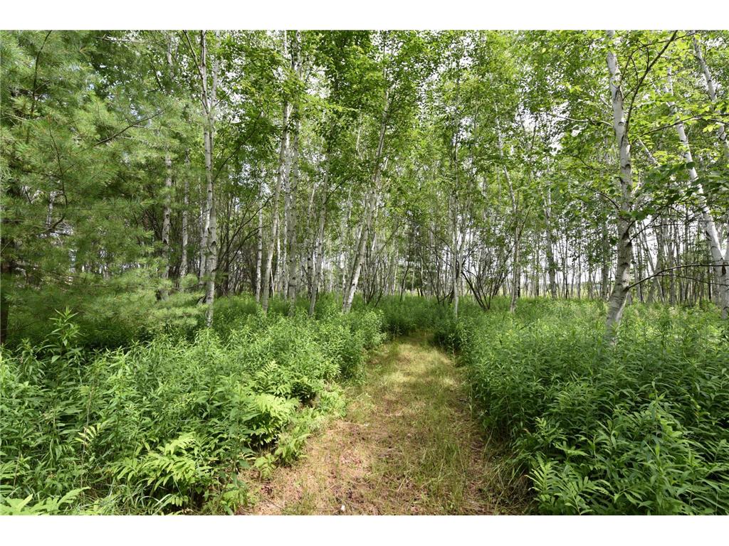 18625 Skunk Lake Road Dell Grove Twp MN 55072 6800356 image34