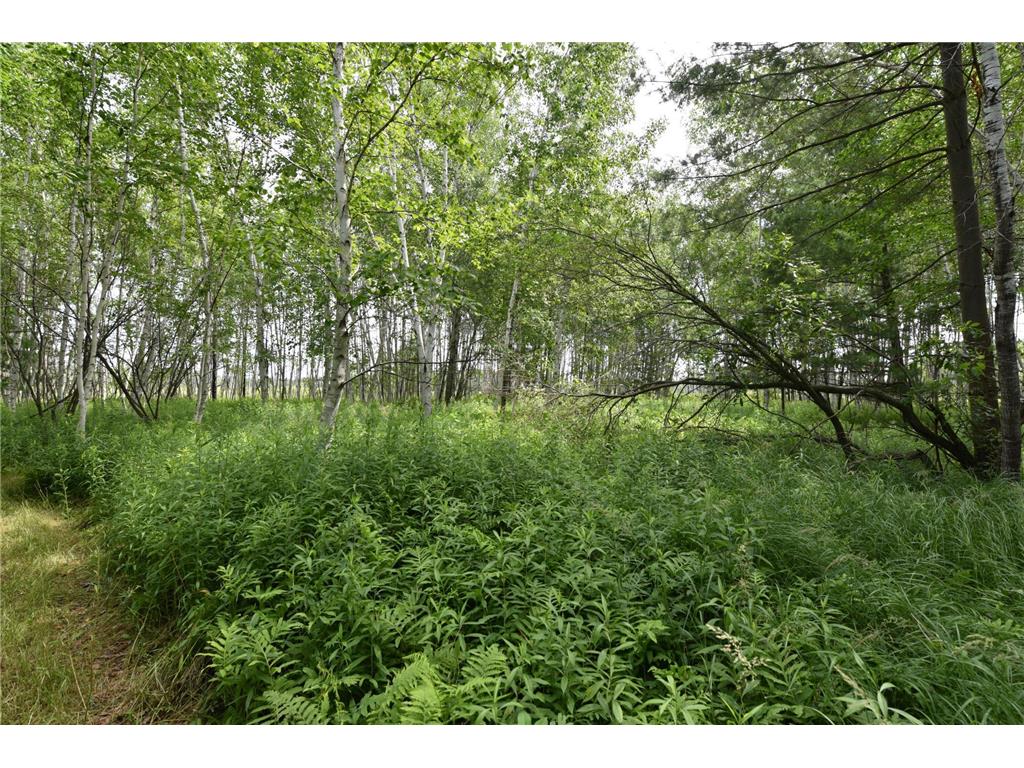 18625 Skunk Lake Road Dell Grove Twp MN 55072 6800356 image35