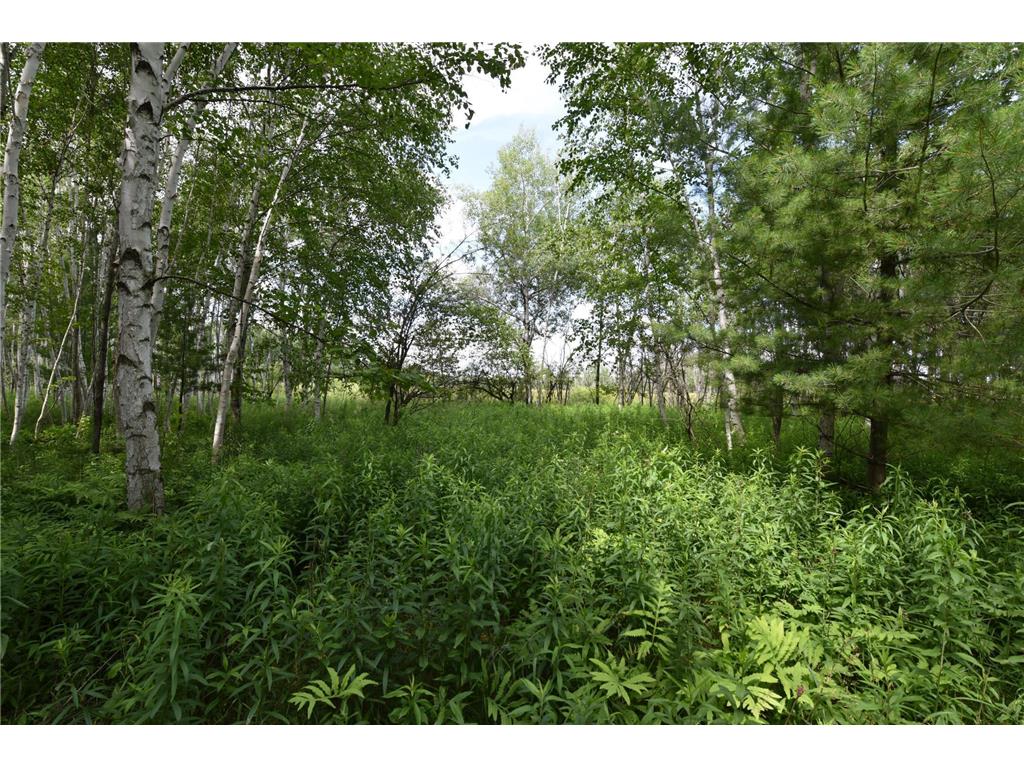 18625 Skunk Lake Road Dell Grove Twp MN 55072 6800356 image36