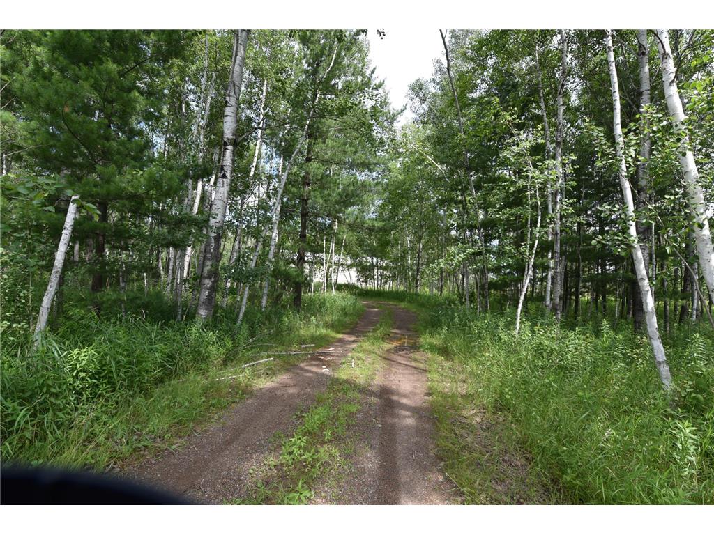 18625 Skunk Lake Road Dell Grove Twp MN 55072 6800356 image37