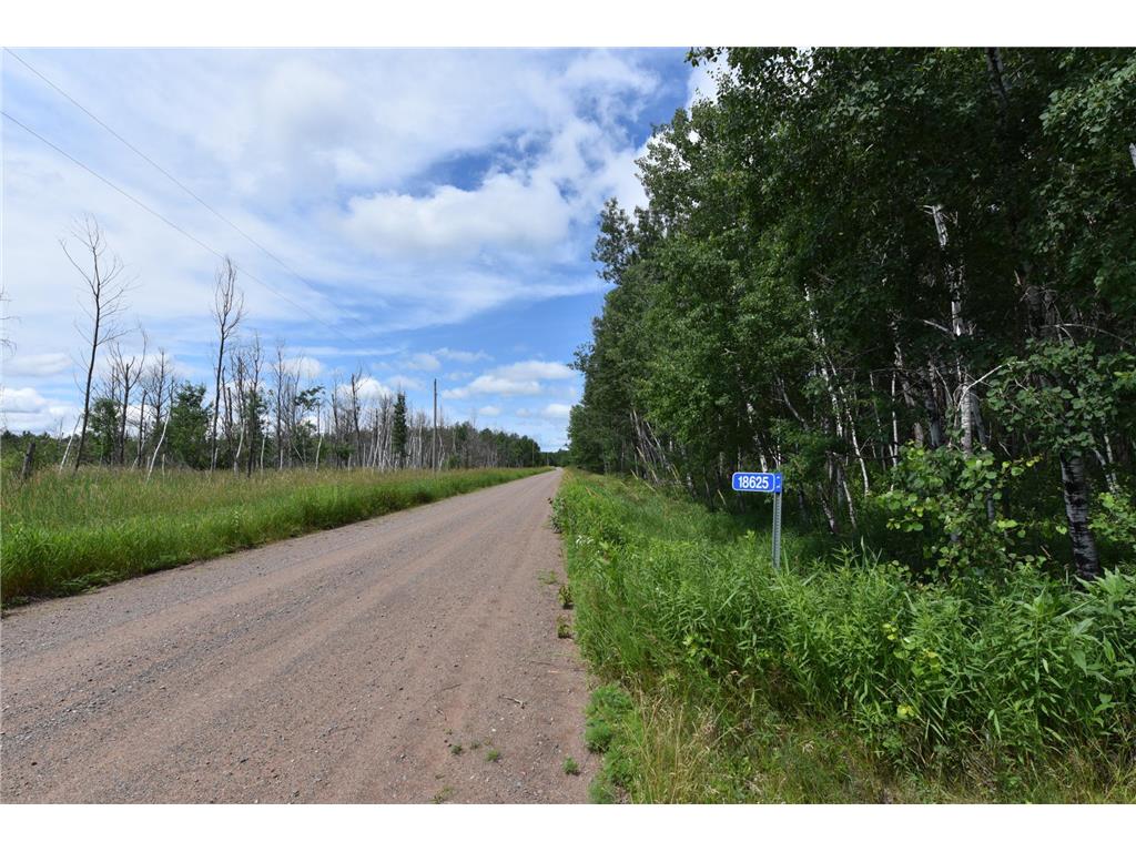 18625 Skunk Lake Road Dell Grove Twp MN 55072 6800356 image39