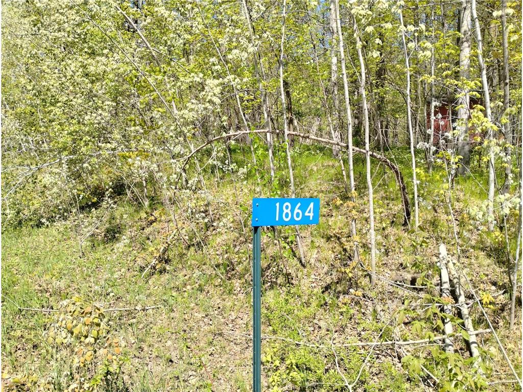 1864 295th Avenue Hillman Twp MN 55051 6375502 image1