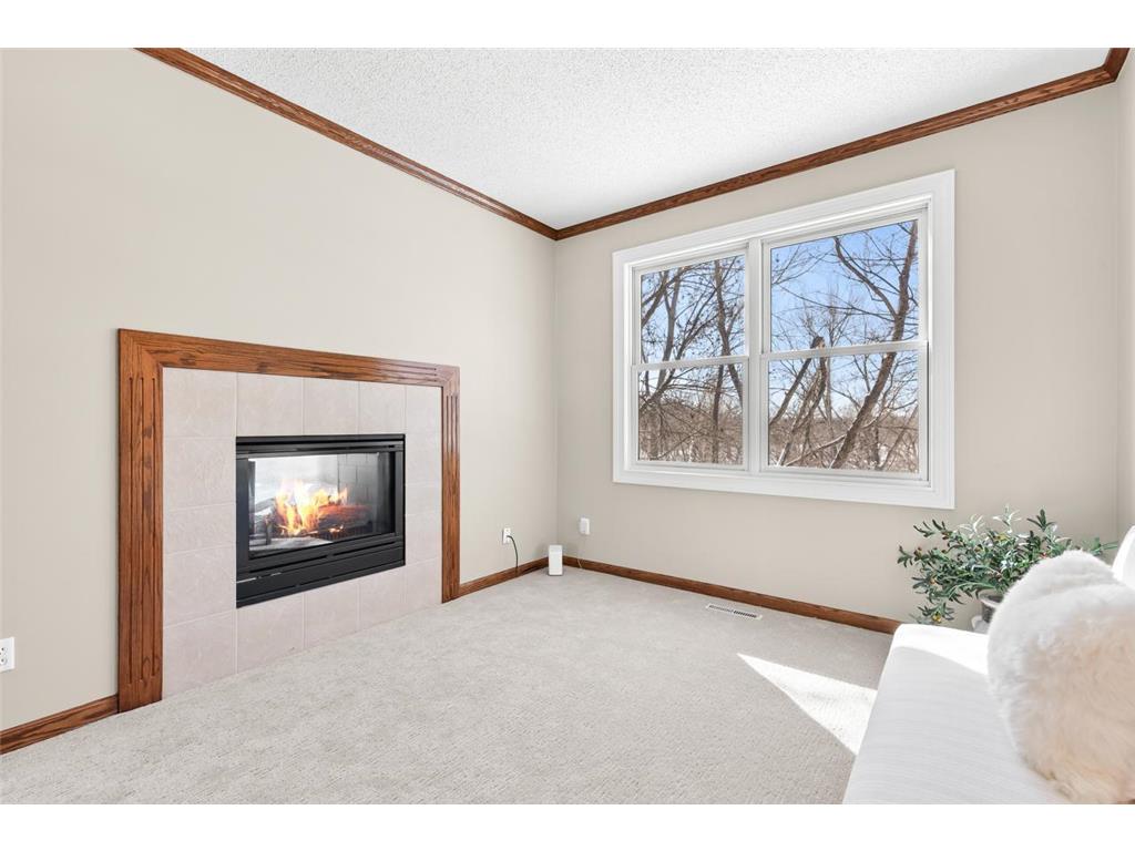 18643 Magenta Bay Eden Prairie MN 55347 - Rice Marsh 7035554 image29