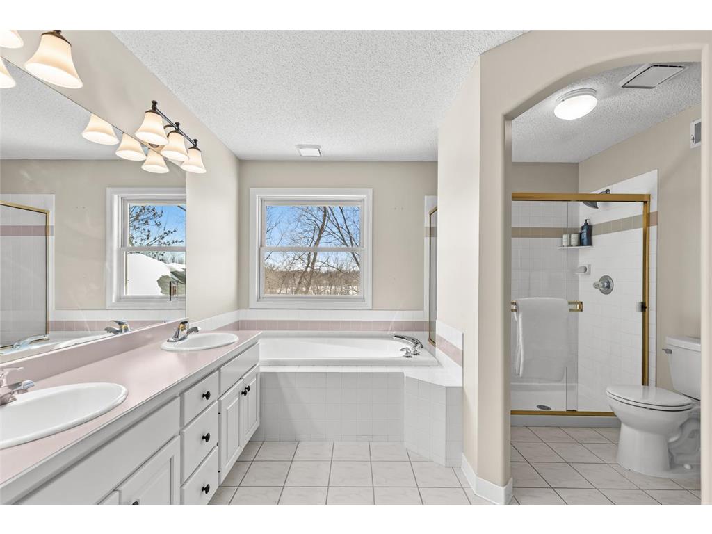 18643 Magenta Bay Eden Prairie MN 55347 - Rice Marsh 7035554 image38