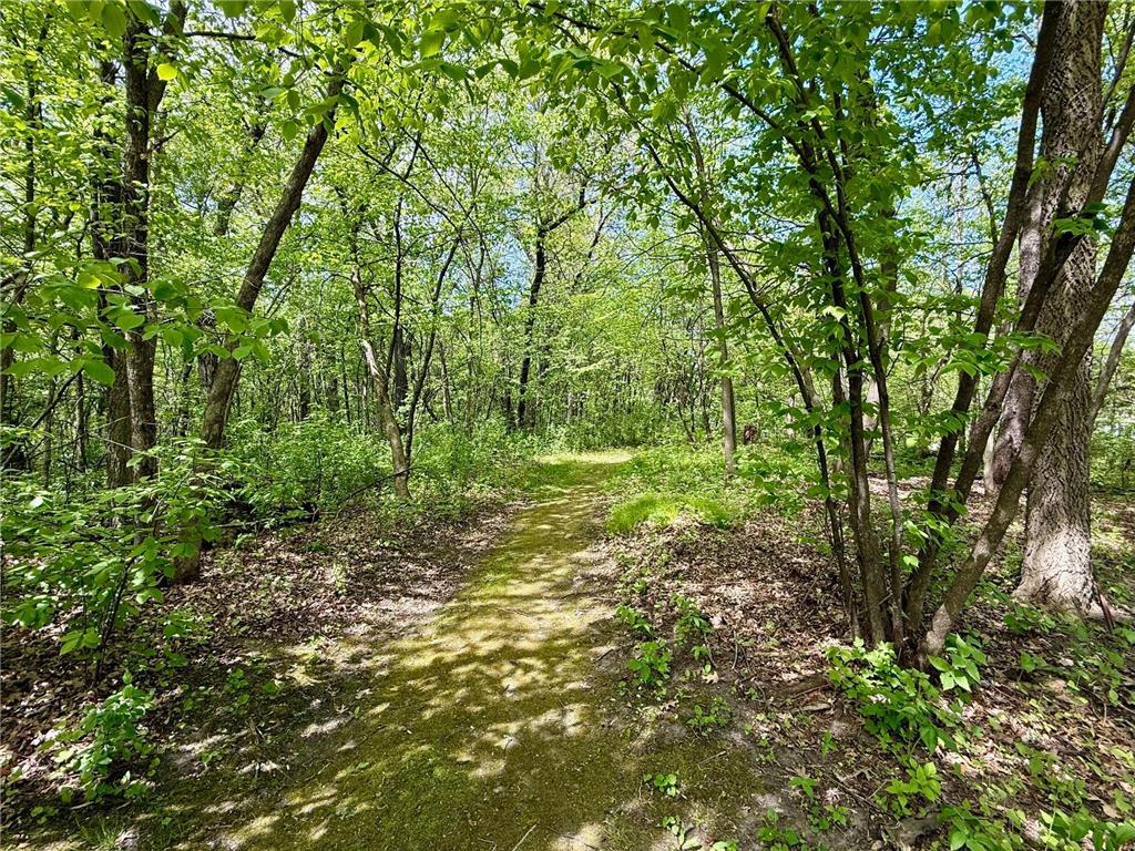 18650 Verna Lane Prior Lake MN 55372 7076185 image52