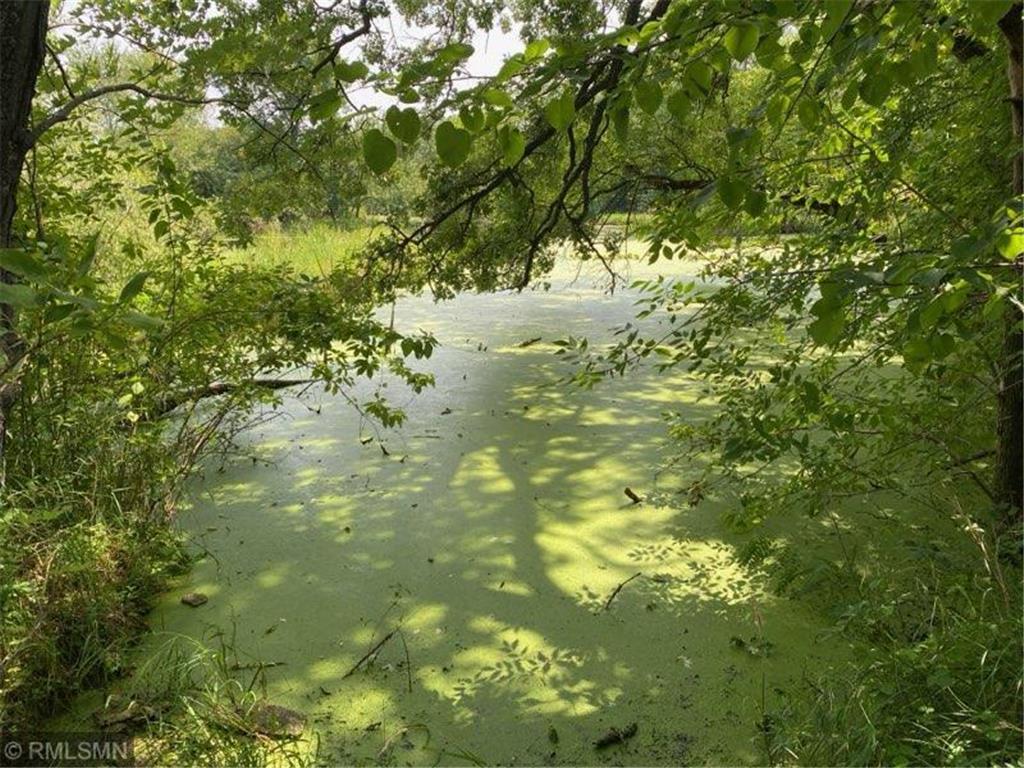 18651 Ogden Circle NW Elk River MN 55330 - Upper Orono Lake 6769754 image11