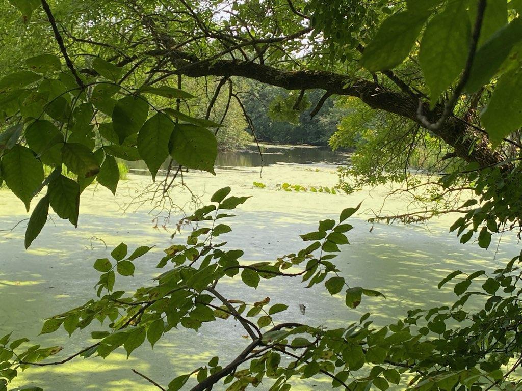 18651 Ogden Circle NW Elk River MN 55330 - Upper Orono Lake 7008094 image12