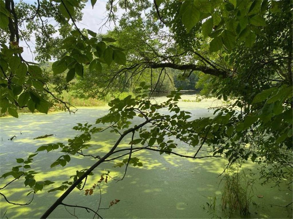 18651 Ogden Circle NW Elk River MN 55330 - Upper Orono Lake 7008094 image13