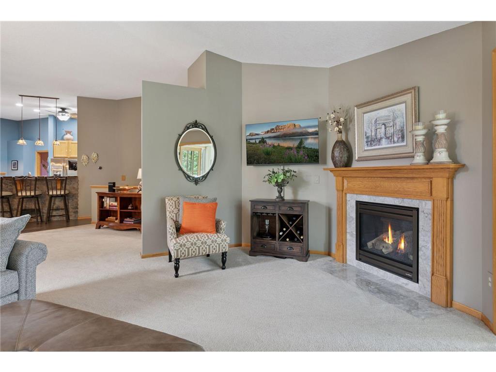1867 Merlot Curve Eagan MN 55122 7062466 image8