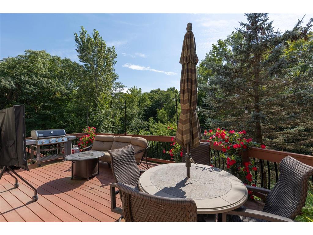 18674 Ponderosa Court Eden Prairie MN 55347 - Riley 6779888 image76