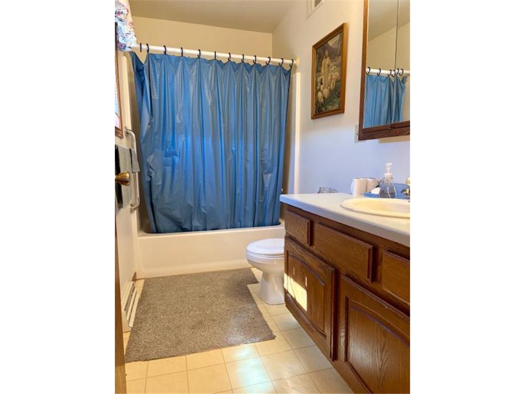 18680 Elk Loop Long Prairie MN 56347 7056539 image18