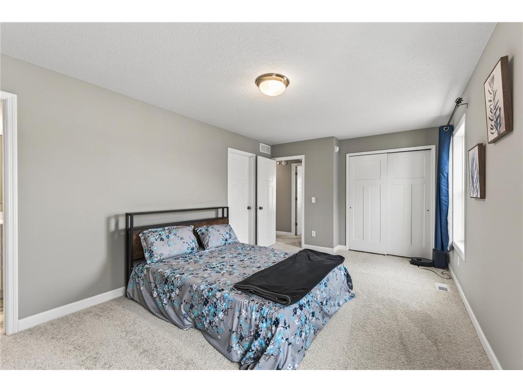 18693 Hamel Drive Lakeville MN 55044 7022146 image10