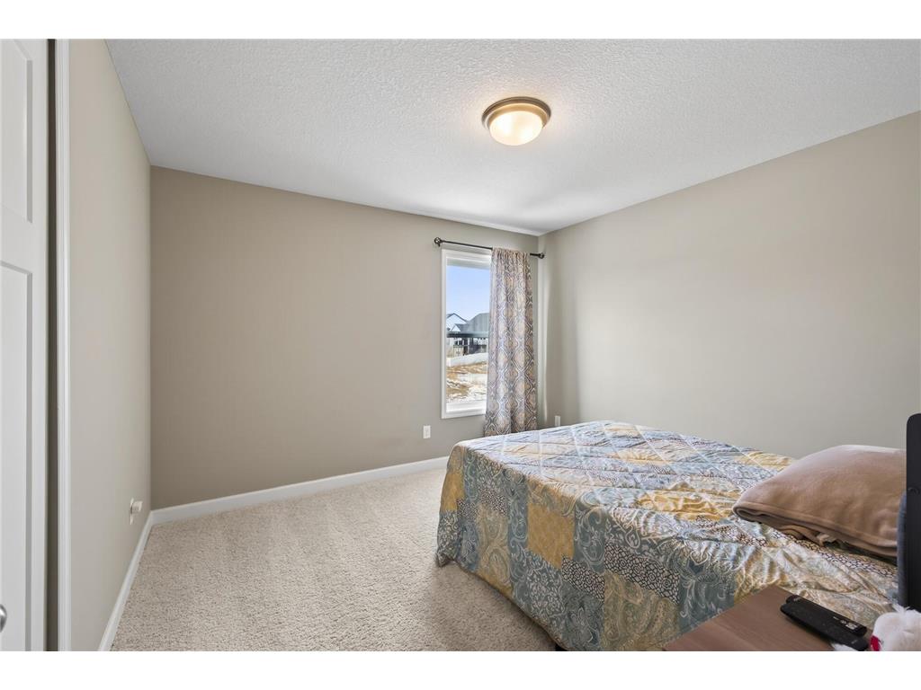 18693 Hamel Drive Lakeville MN 55044 7022146 image13