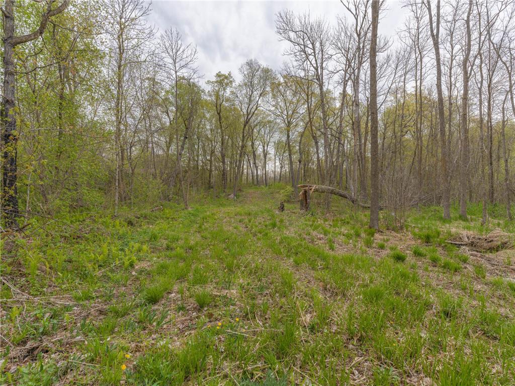 186XX 329th Avenue Isle MN 56342 - Mille Lacs Lake 7074762 image12