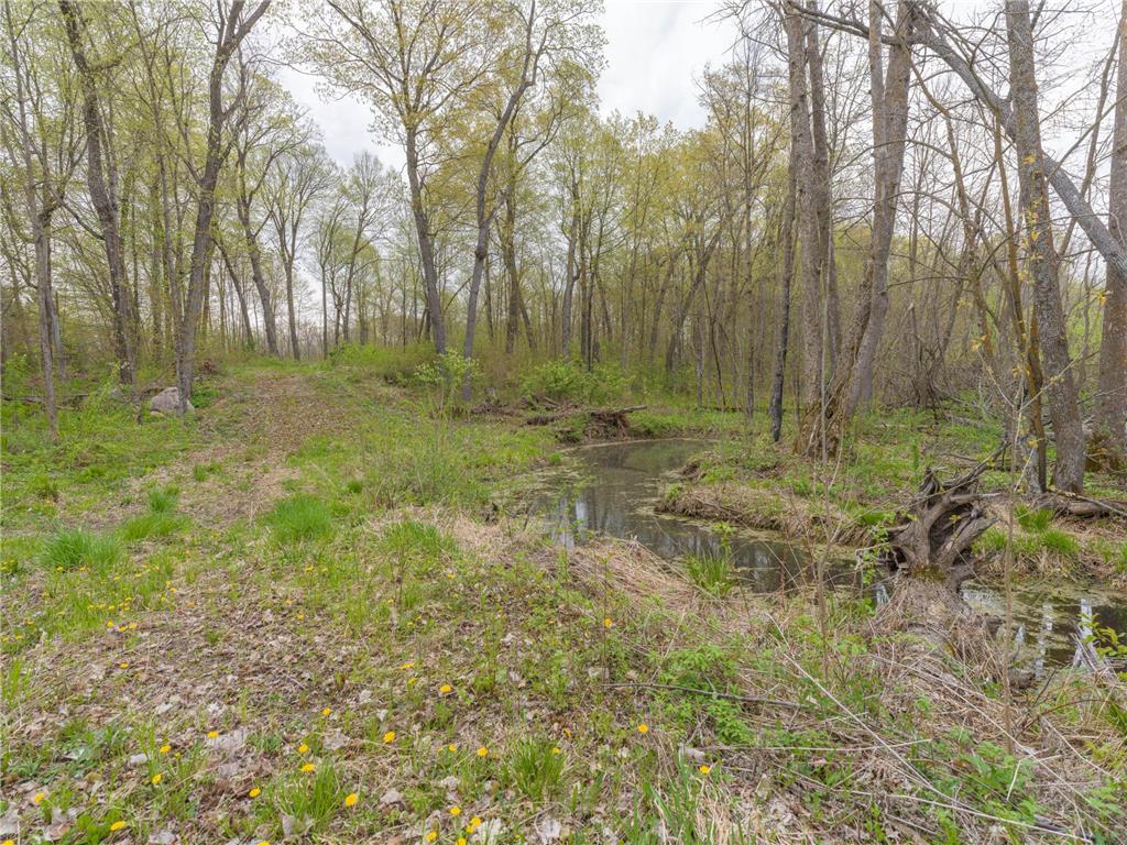 186XX 329th Avenue Isle MN 56342 - Mille Lacs Lake 7074762 image13