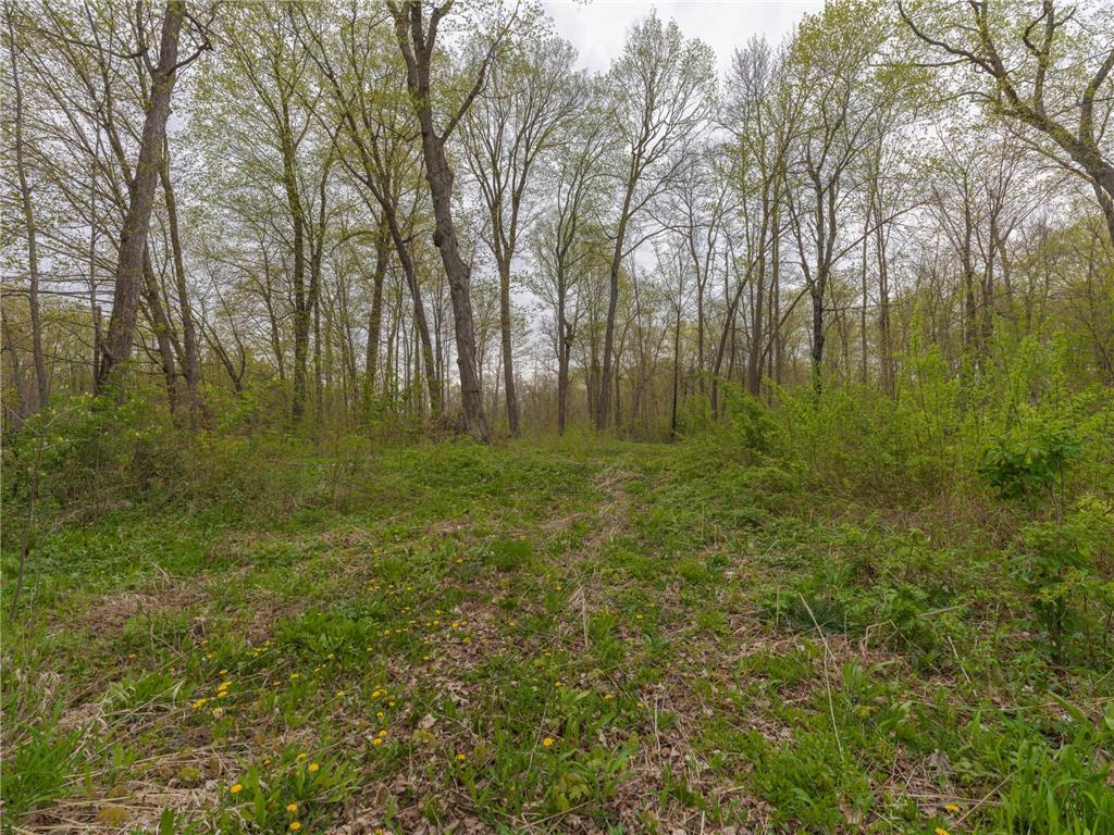 186XX 329th Avenue Isle MN 56342 - Mille Lacs Lake 7074762 image14