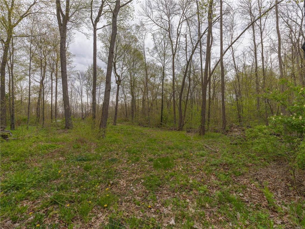 186XX 329th Avenue Isle MN 56342 - Mille Lacs Lake 7074762 image15