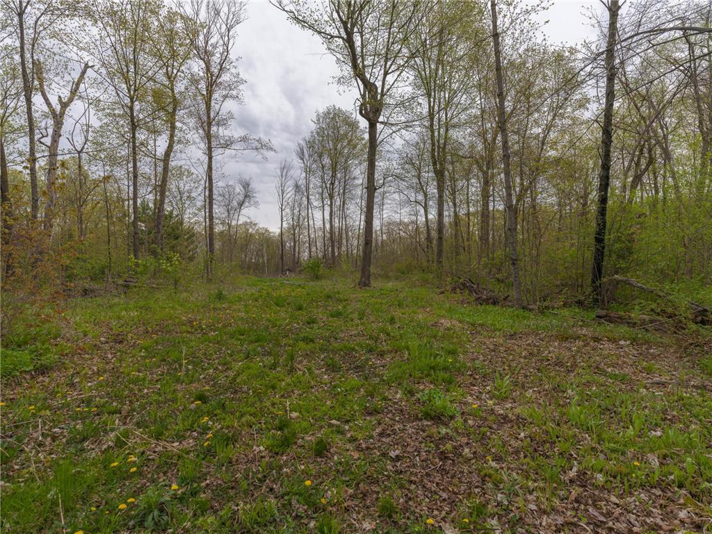 186XX 329th Avenue Isle MN 56342 - Mille Lacs Lake 7074762 image16