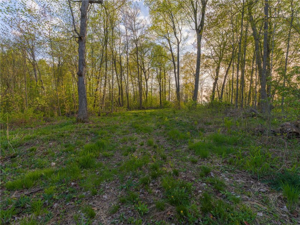 186XX 329th Avenue Isle MN 56342 - Mille Lacs Lake 7074762 image5
