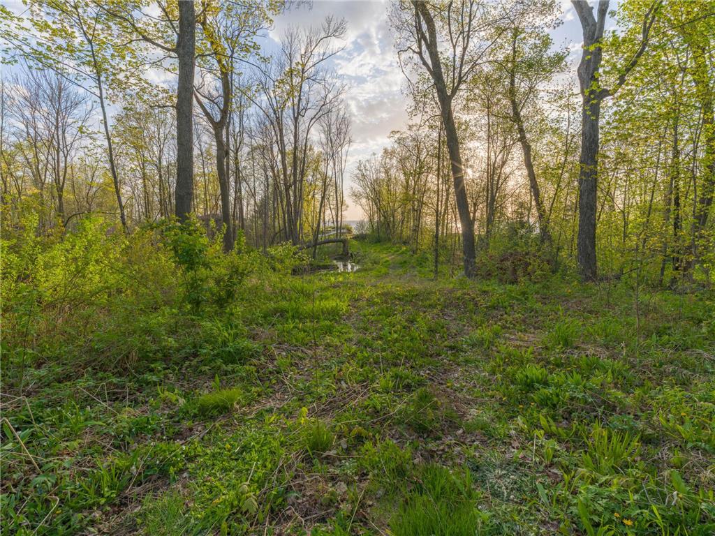186XX 329th Avenue Isle MN 56342 - Mille Lacs Lake 7074762 image6