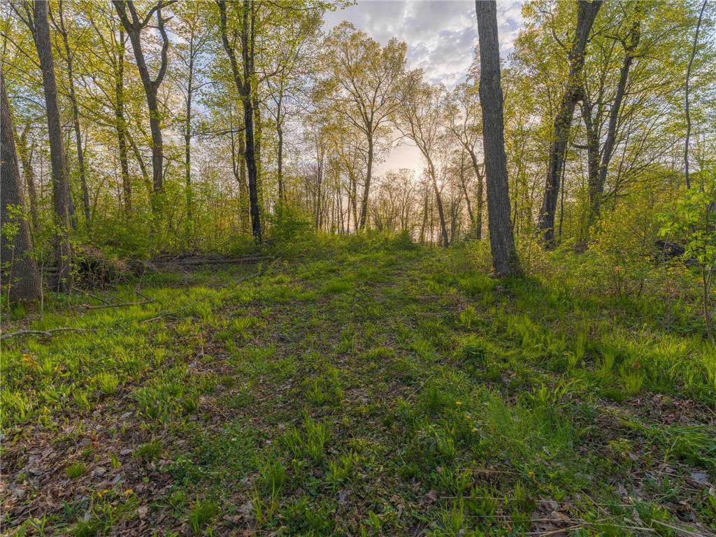186XX 329th Avenue Isle MN 56342 - Mille Lacs Lake 7074762 image7