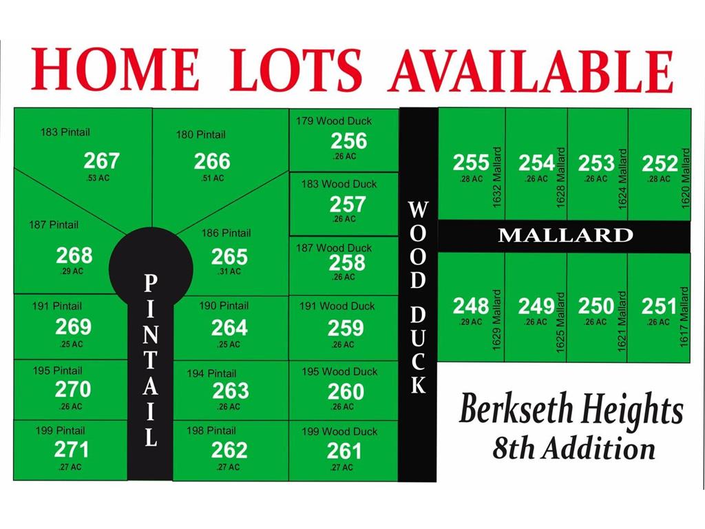 187 Pintail Street Baldwin WI 54002 6391659 image1