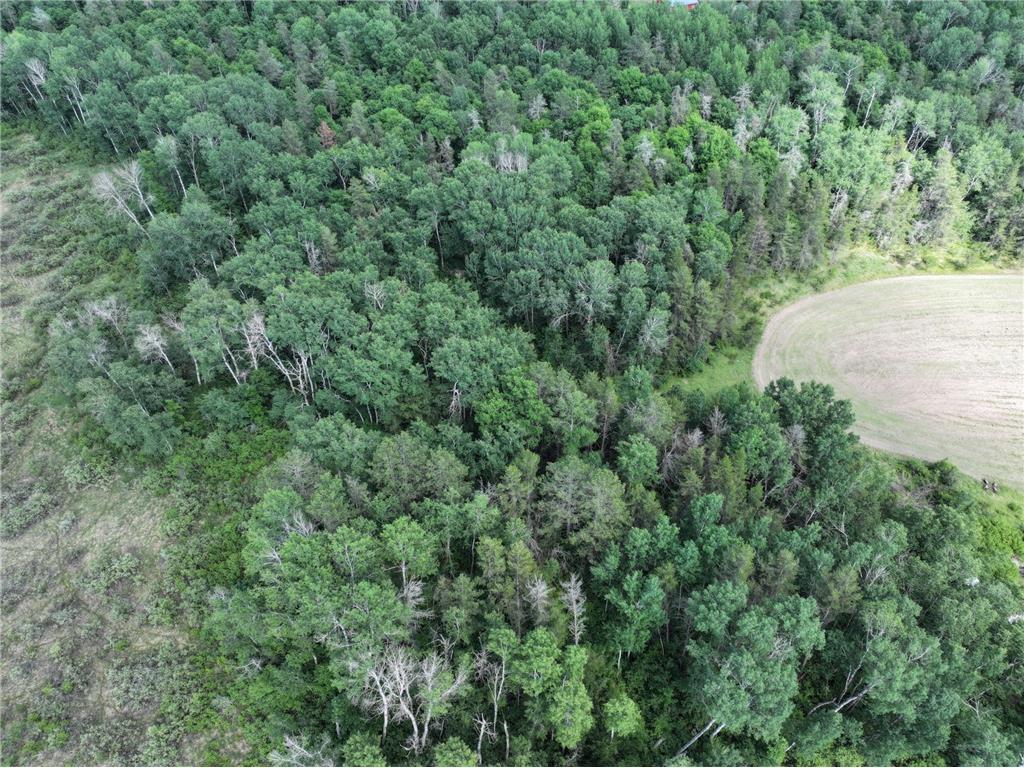 18704 370th Street Menahga MN 56464 7096547 image4