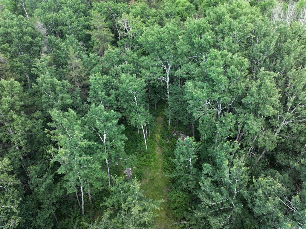 18704 370th Street Menahga MN 56464 7096547 image5