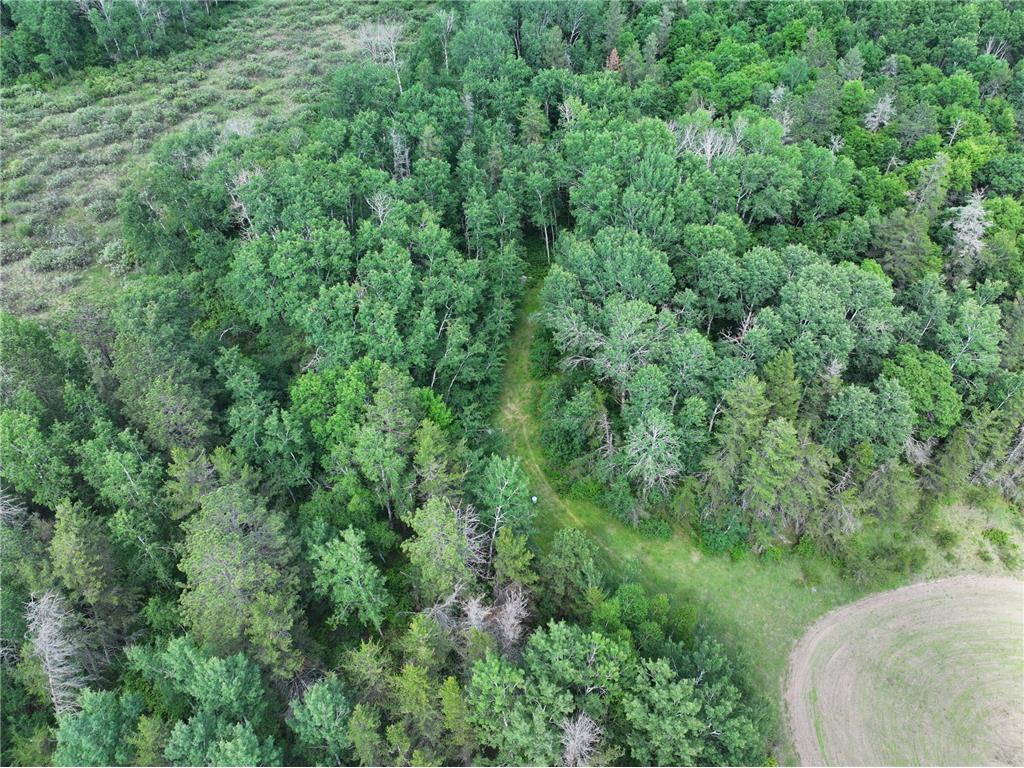 18704 370th Street Menahga MN 56464 7096547 image6