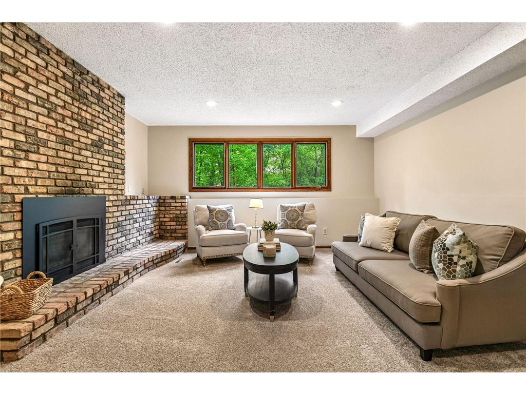 18710 28th Avenue N Plymouth MN 55447 7056682 image25