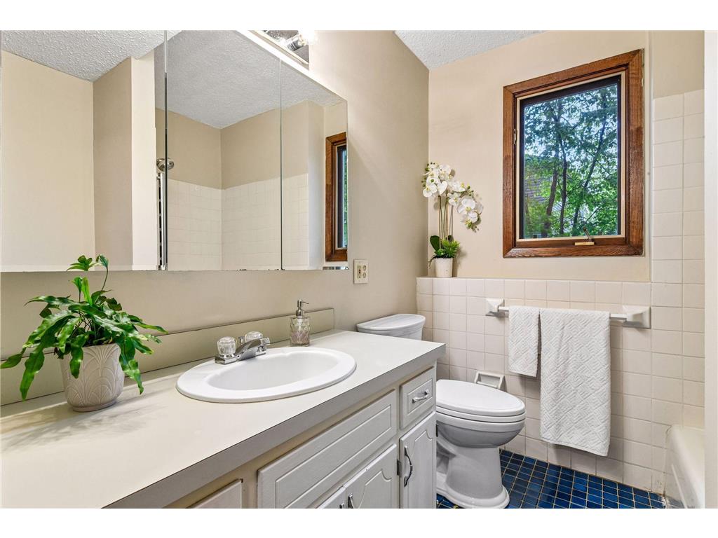 18710 28th Avenue N Plymouth MN 55447 7056682 image31