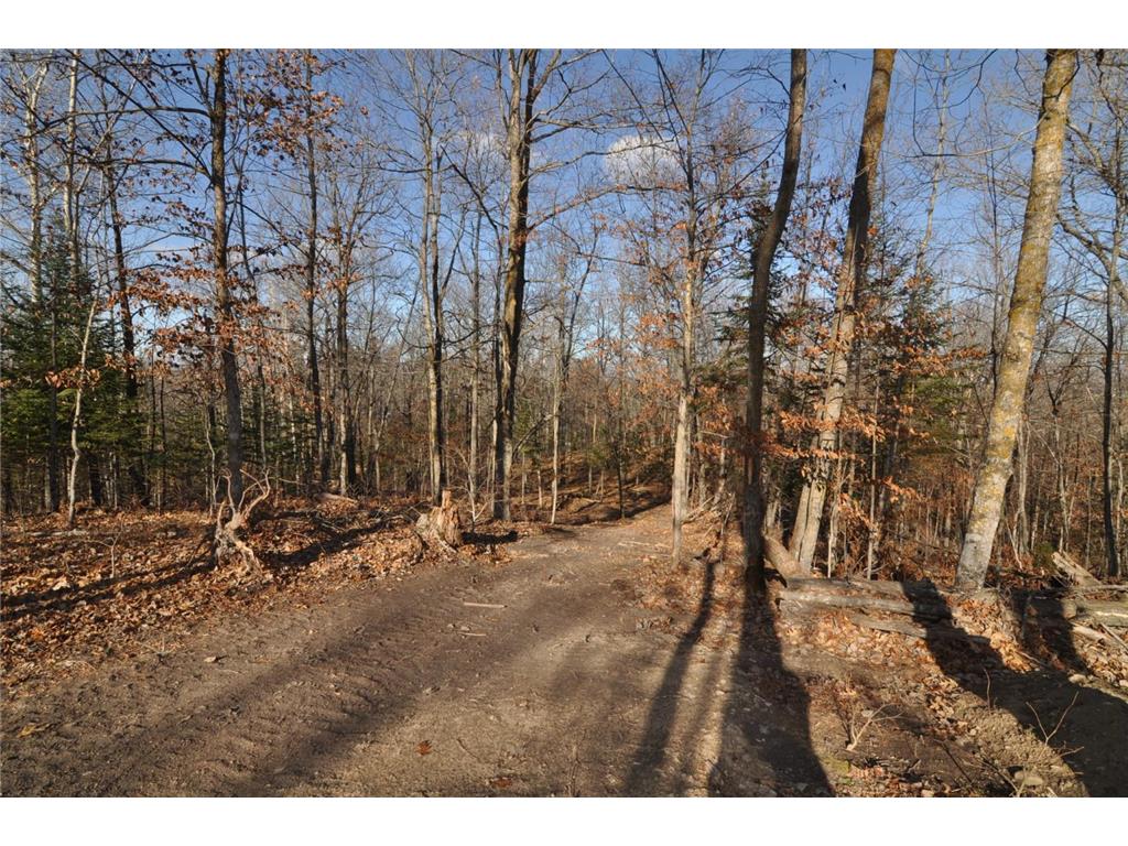 1872 Buckshot Trail NW Hackensack MN 56452 6815999 image30