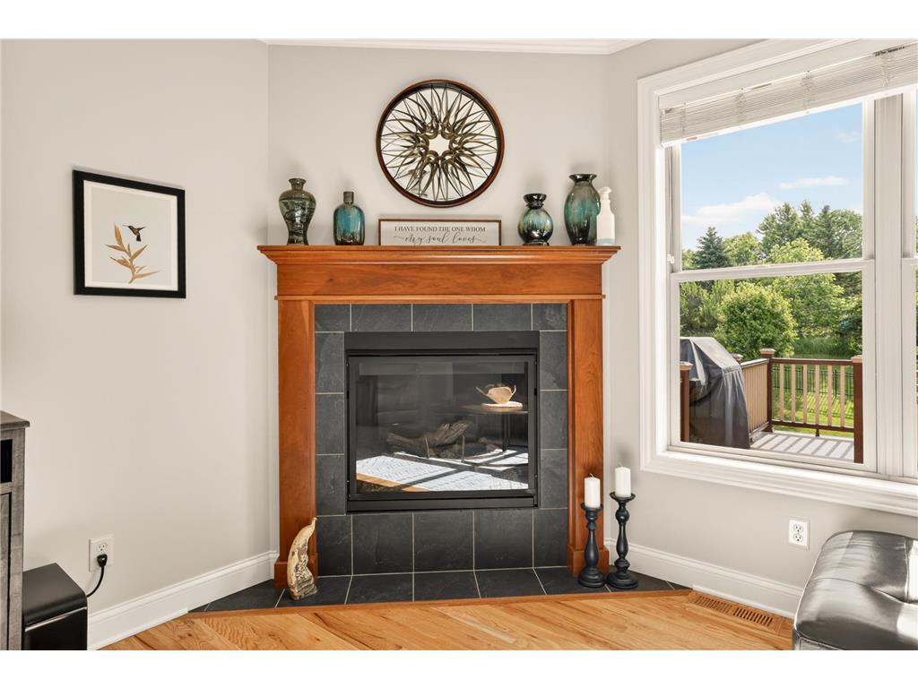 1872 Shannon Oaks Boulevard NE Rochester MN 55906 7090587 image25