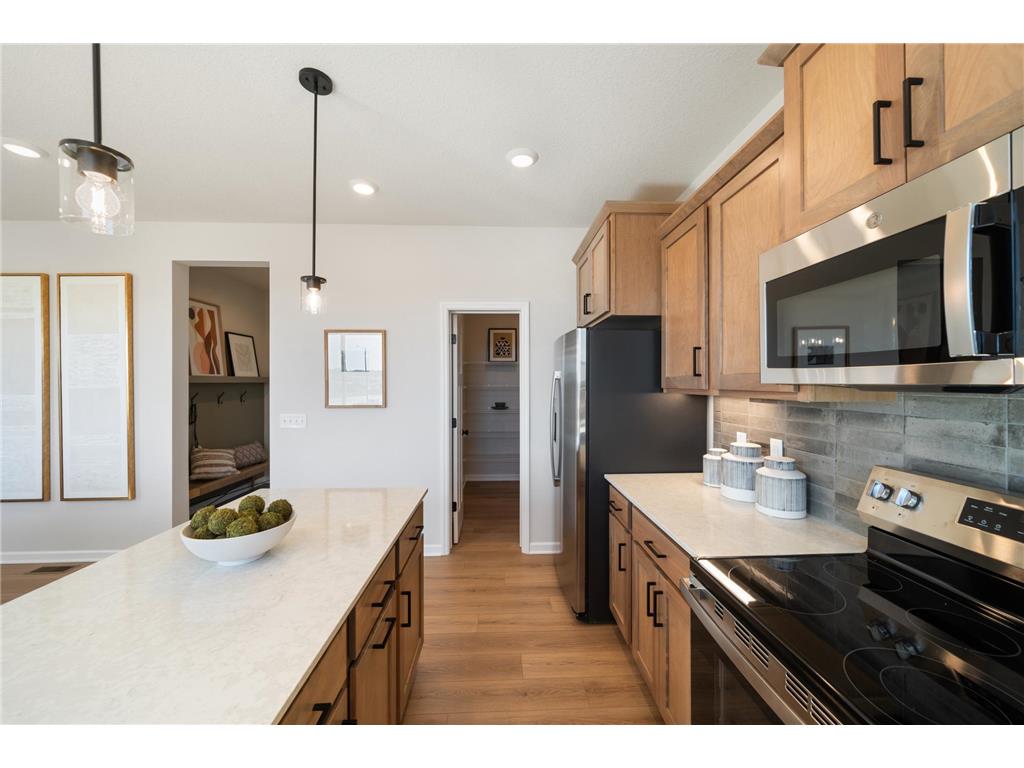 1873 Charleston Lane Waconia MN 55387 7028965 image13