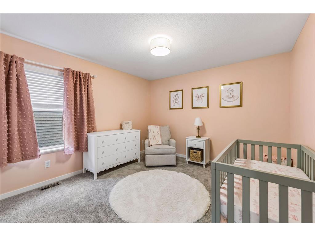 1874 Spring Creek Drive Carver MN 55315 7058934 image27