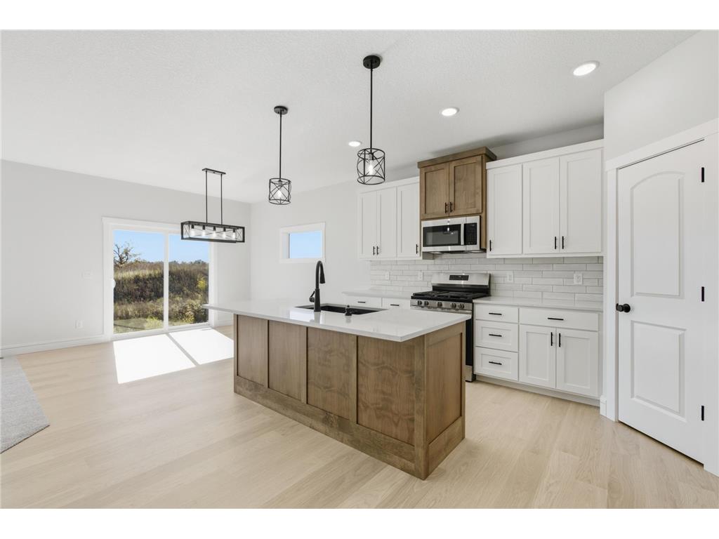 1876 Aster Court Buffalo MN 55313 6792186 image9