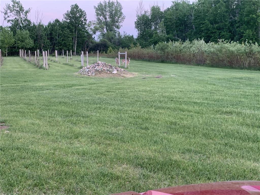 18779 35th Avenue N Cromwell Twp MN 56549 7036457 image62