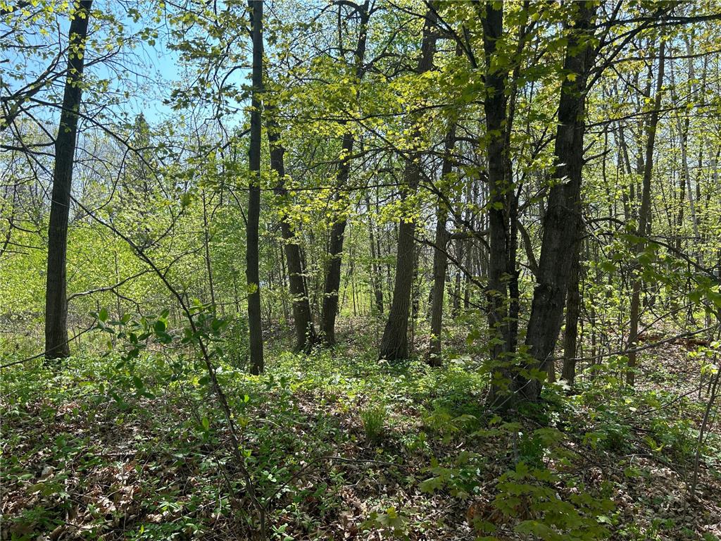 187XX Harbor Drive Garrison MN 56450 - Mille Lacs Lake 7084880 image10