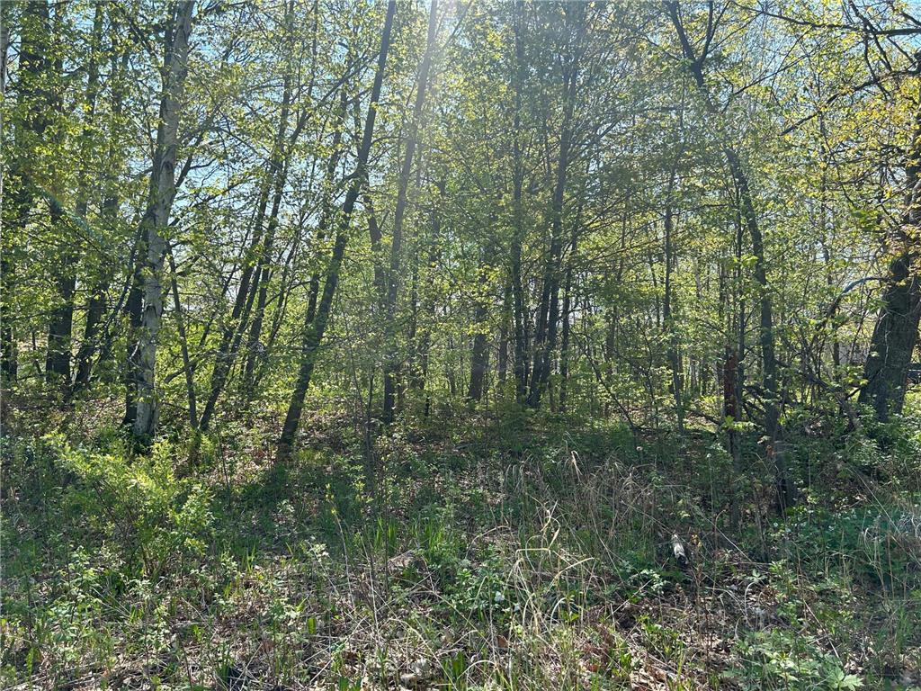 187XX Harbor Drive Garrison MN 56450 - Mille Lacs Lake 7084880 image11
